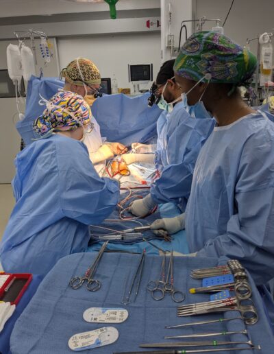 Surgical Team at Work